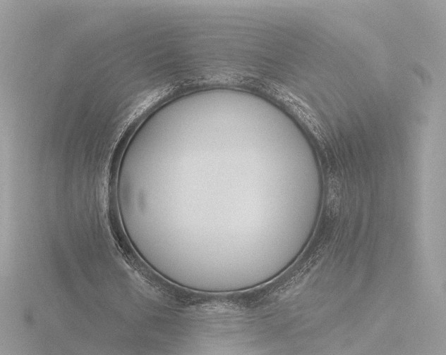 X0000116430578200912221507