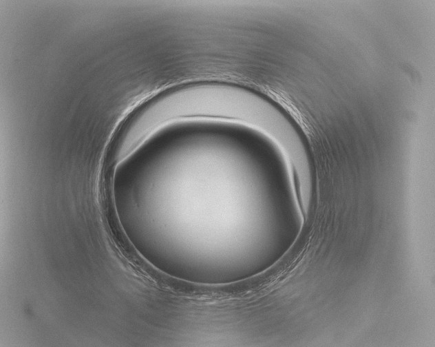 X0000116430579200912221507