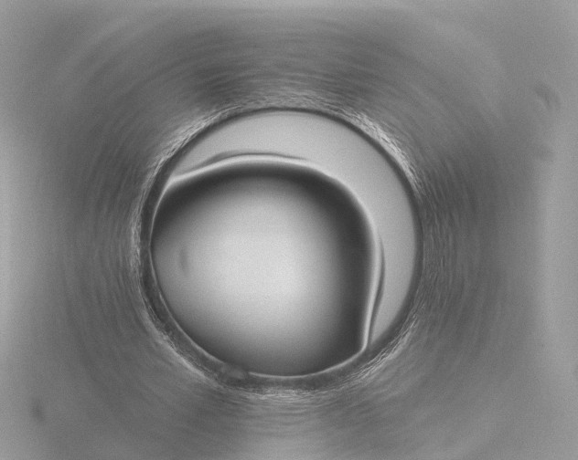 X0000116430581200912221507