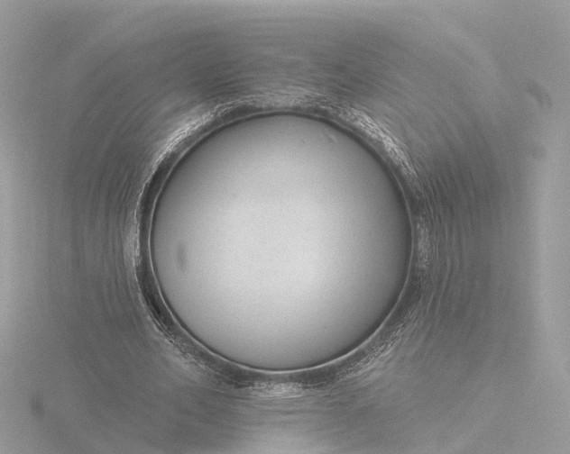 X0000116430582200912221507