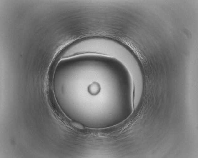 X0000116430583200912221507