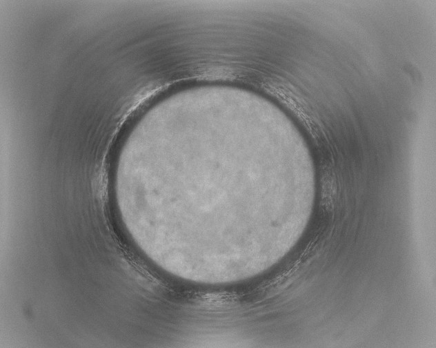 X0000116430584200912221506