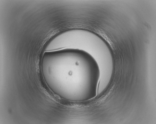 X0000116430585200912221506