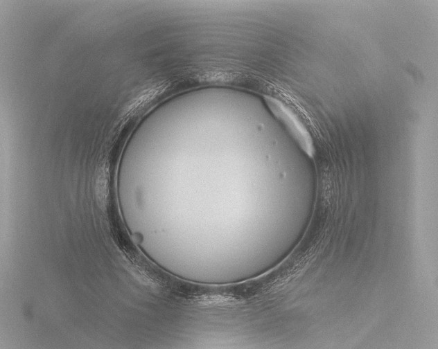 X0000116430586200912221506