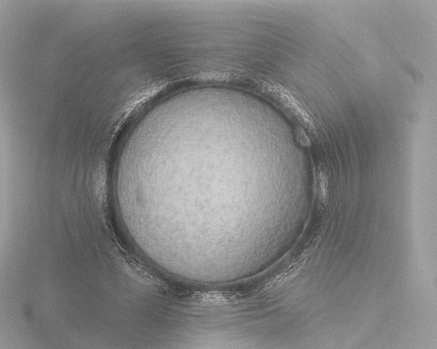 X0000116430588200912221506