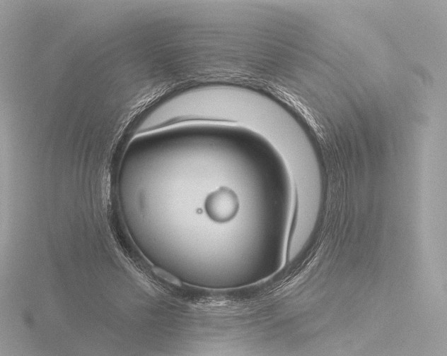 X0000116430589200912221506