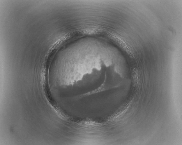 X0000116430590200912221506