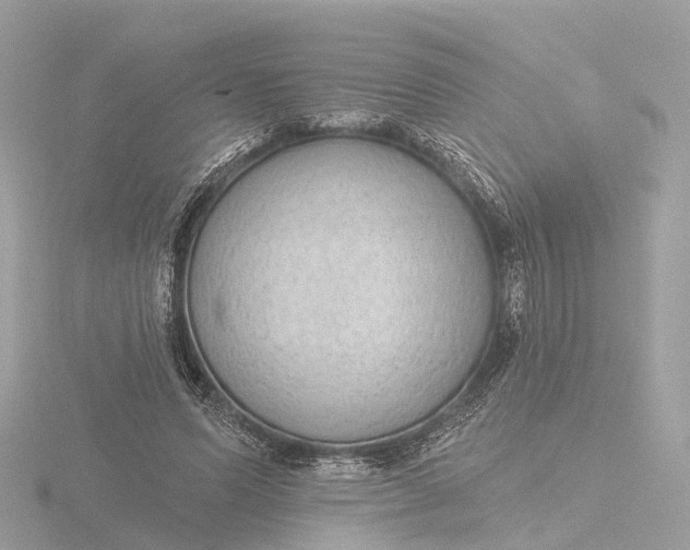 X0000116430591200912221506