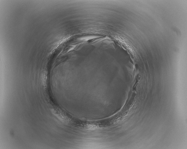 X0000116430592200912221506