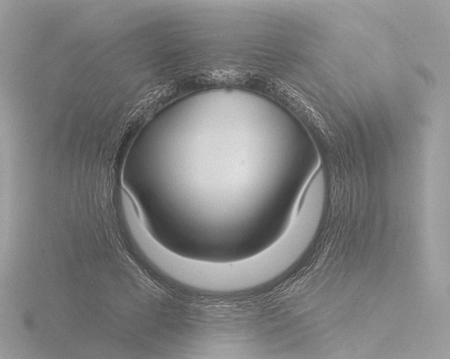 X0000116430593200912221506