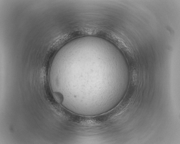 X0000116430594200912221506