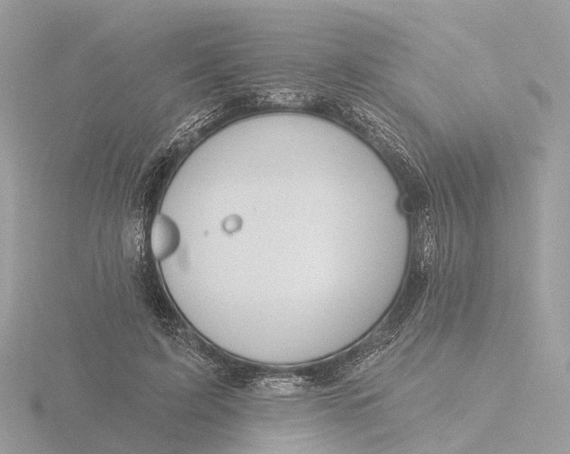 X0000116430595200912221506