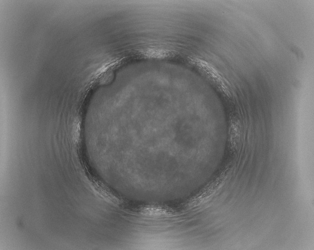 X0000116430596200912221506