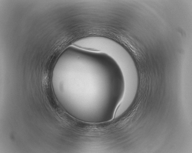 X0000116430597200912221506