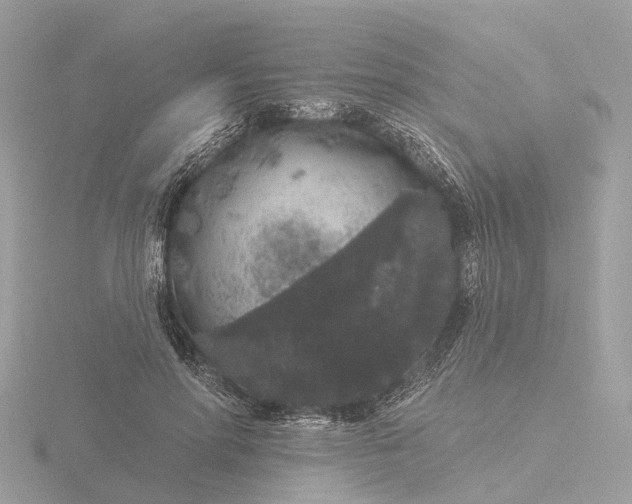 X0000116430598200912221506