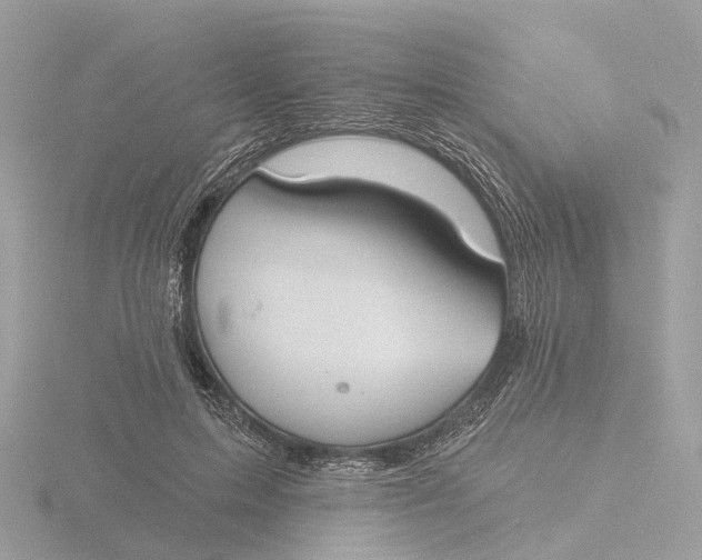 X0000116430599200912221506