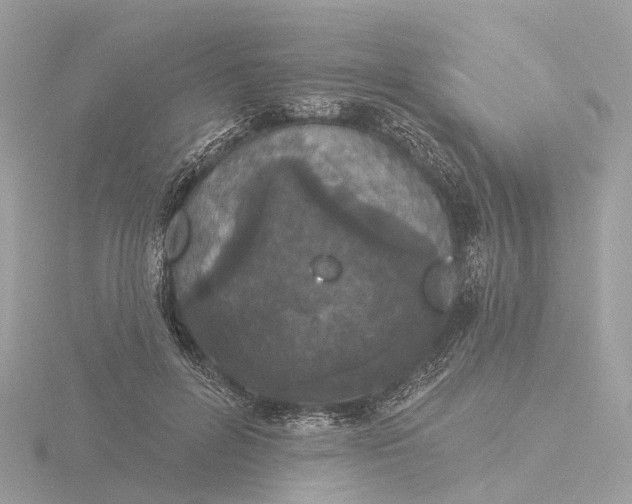 X0000116430600200912221506