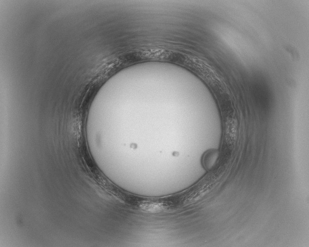 X0000116430602200912221506