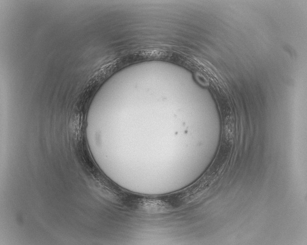 X0000116430605200912221506