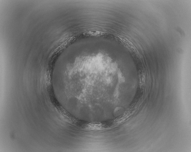 X0000116430606200912221506