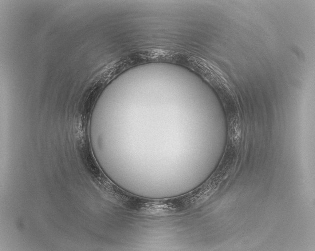 X0000116430607200912221506