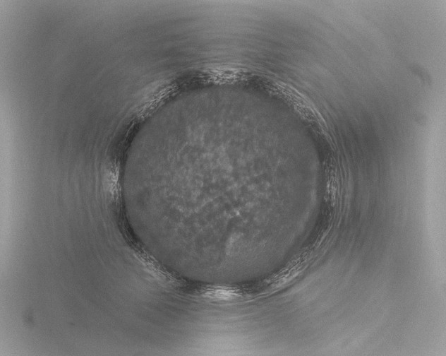 X0000116430610200912221506