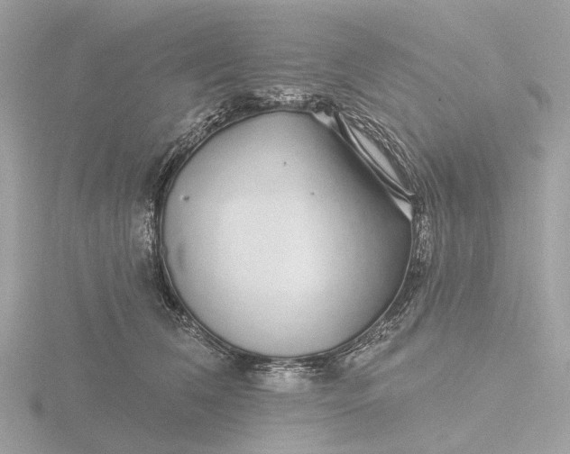 X0000116430612200912221506