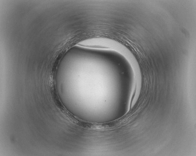 X0000116430613200912221506