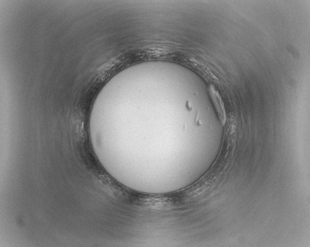 X0000116430615200912221506