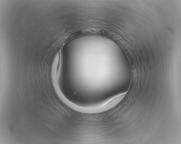 X0000116430617200912221506