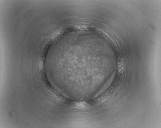 X0000116430618200912221506