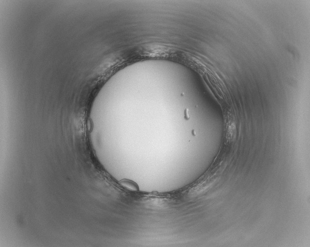 X0000116430620200912221506