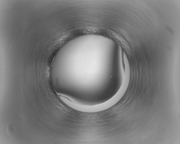 X0000116430621200912221506