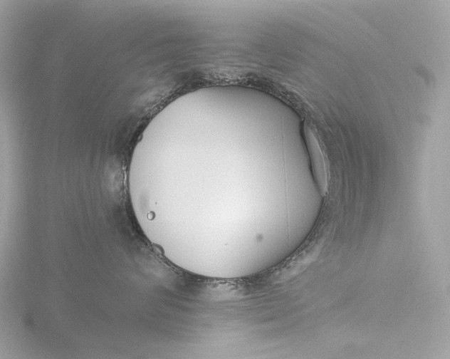 X0000116430624200912221506