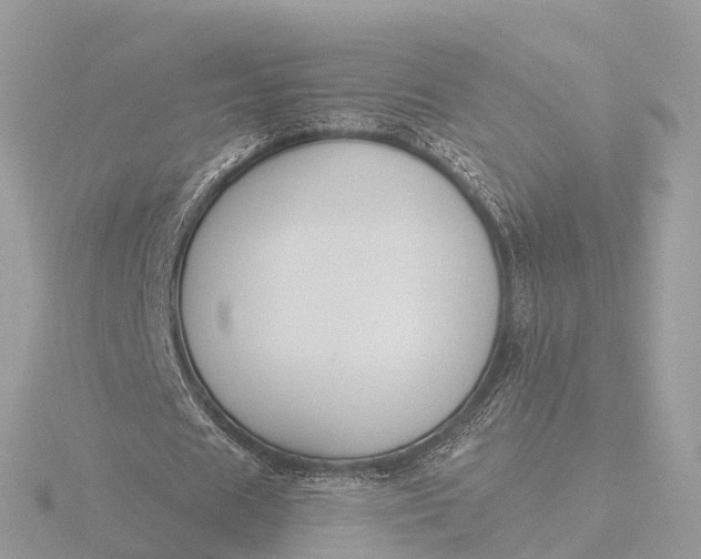 X0000116430625200912221505