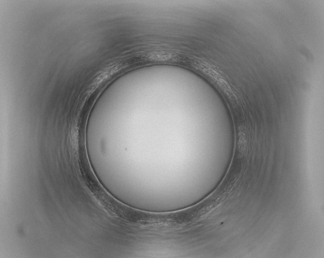 X0000116430626200912221505