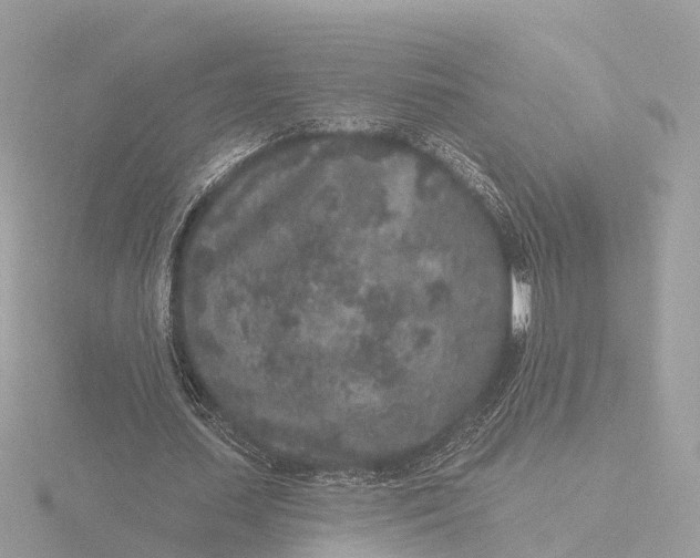 X0000116430627200912221505