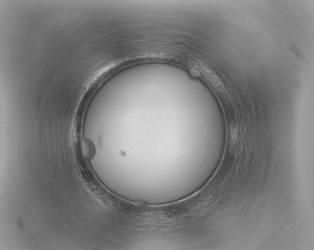 X0000116430628200912221505