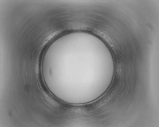 X0000116430629200912221505