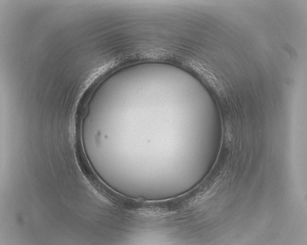 X0000116430630200912221505