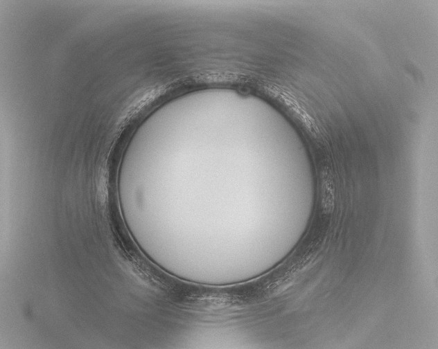 X0000116430631200912221505