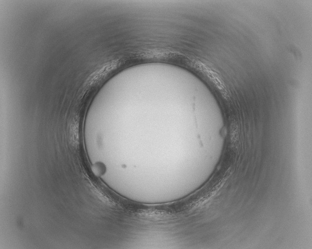 X0000116430633200912221505