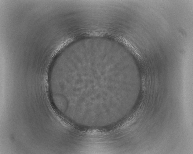 X0000116430634200912221505