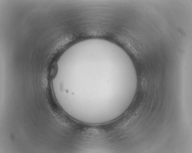 X0000116430635200912221506