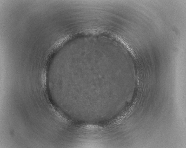 X0000116430637200912221506