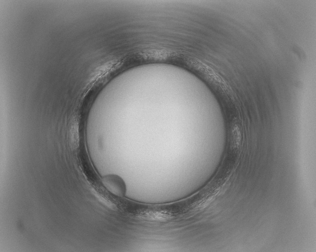 X0000116430638200912221506