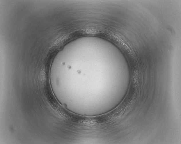 X0000116430639200912221506