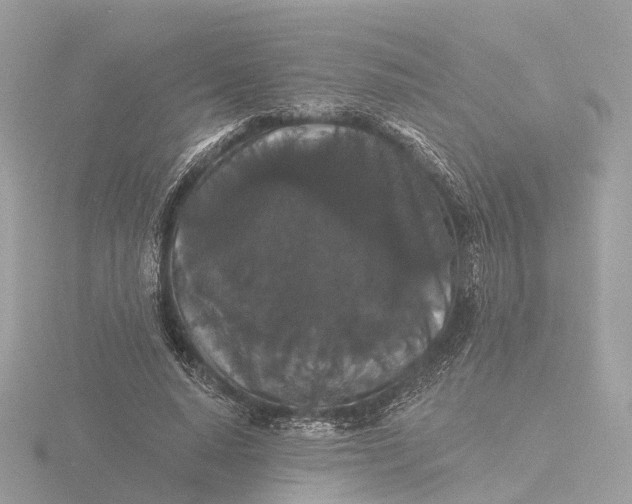 X0000116430640200912221506