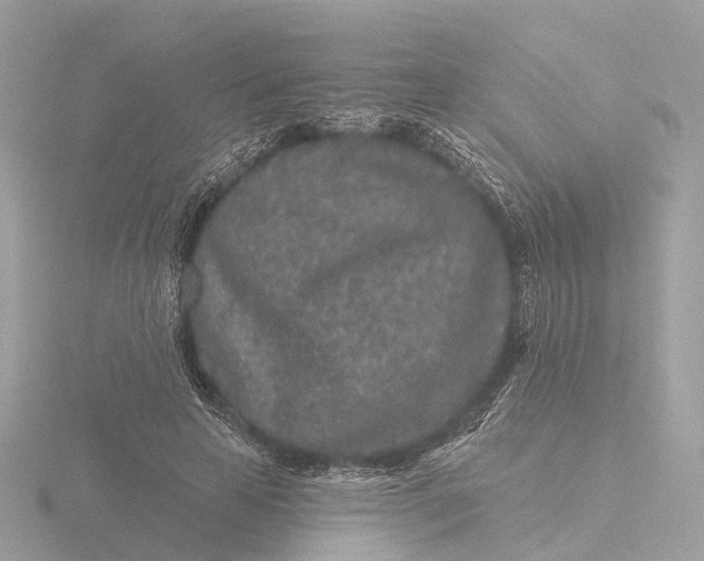 X0000116430641200912221506