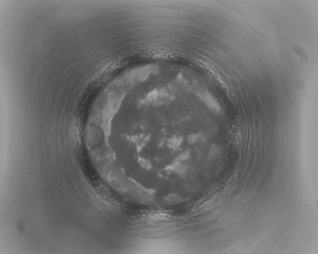 X0000116430643200912221506